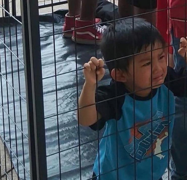 Luis Fonsi, inmigrantes Luis Fonsi, inmigrantes